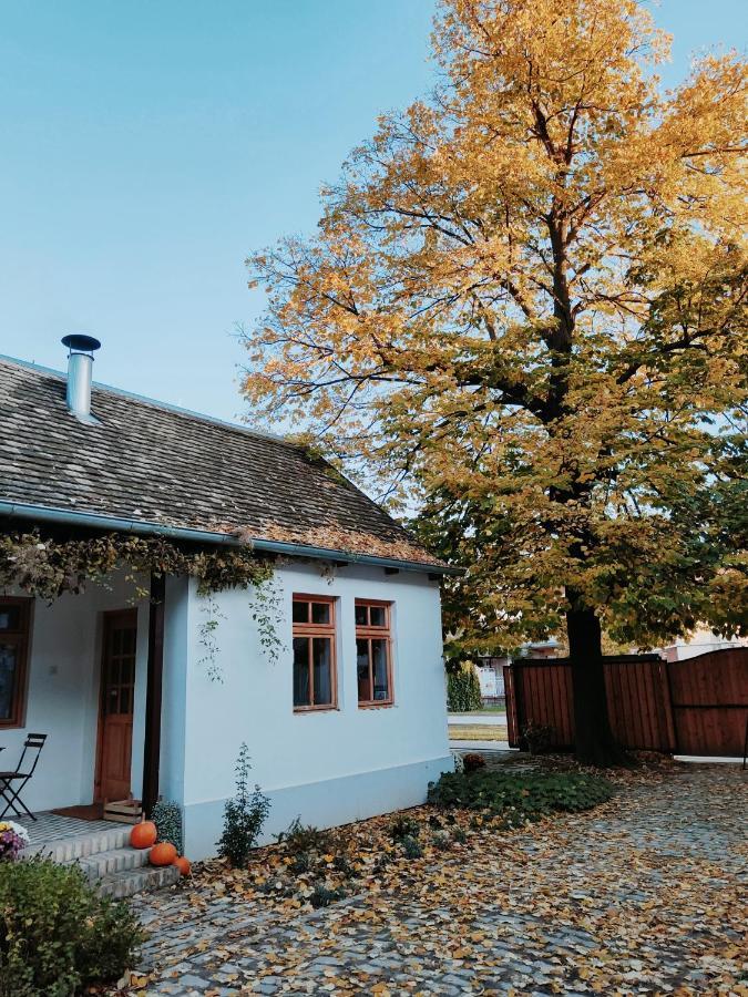 Ethno&Coffee House Tulip Panzió Dunagálos Kültér fotó